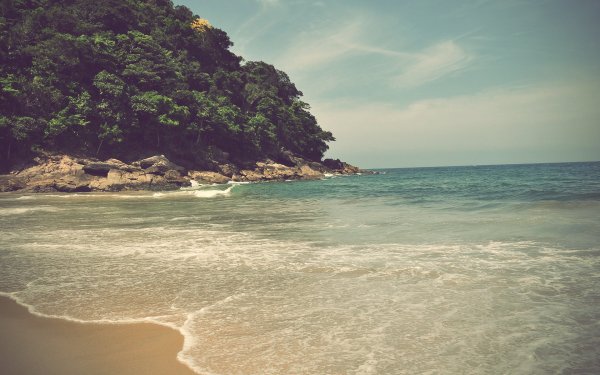 Море волны пальмы