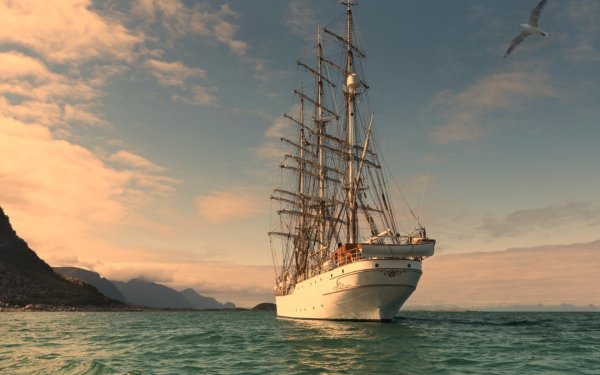 Бухта парусник Тортуга