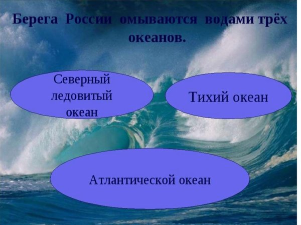 Омывающие моря и океаны