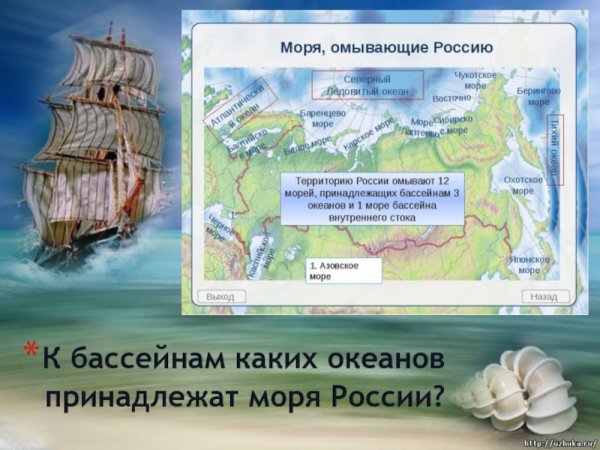 МОРОРЯ Северного Ледовитого океана