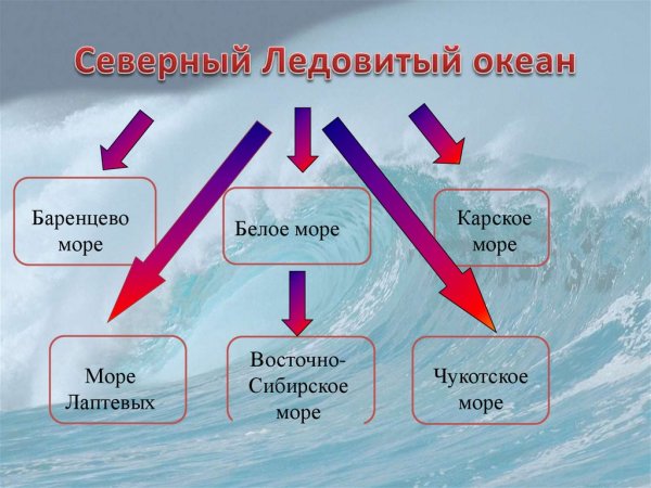 Моря омывающие Россию