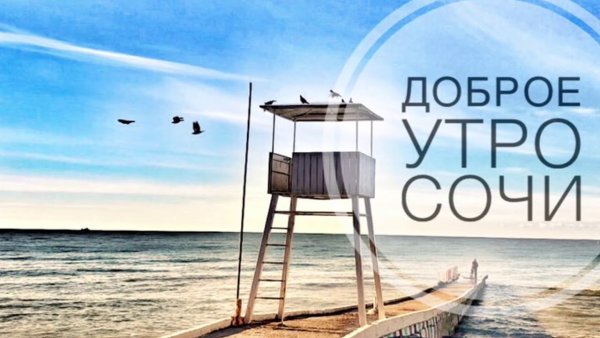 Доброе утро из Сочи