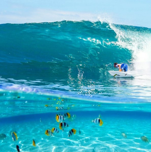 Отличного дня море