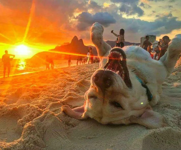 Доброе утро Крым с надписью