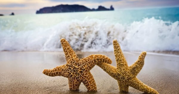 Доброе утро море камня