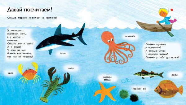 Подводный мир морей и океанов