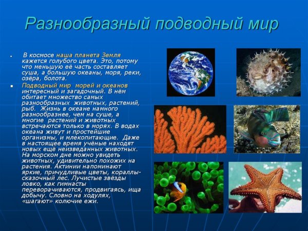 Морская рыба названия