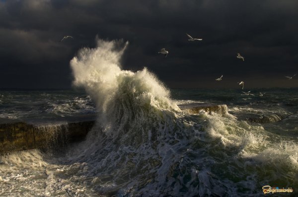 Вулкан Креницына волны шторм