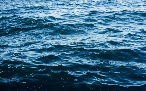 Море Горизонт