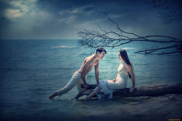 Жизнь на берегу моря