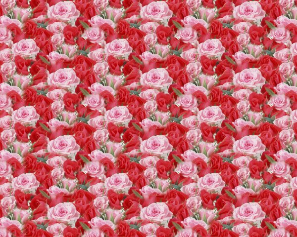 Цветы на фоне моря