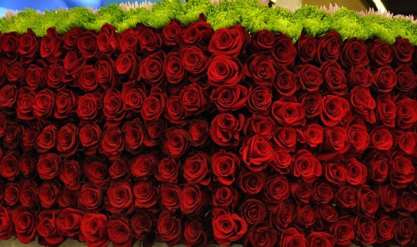 Шикарный букет у моря