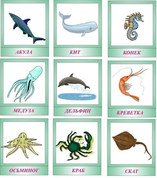 Подводный мир надпись