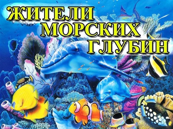 Мемори игра морские обитатели