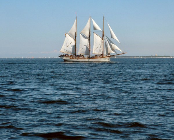 Парусник с надутыми парусами