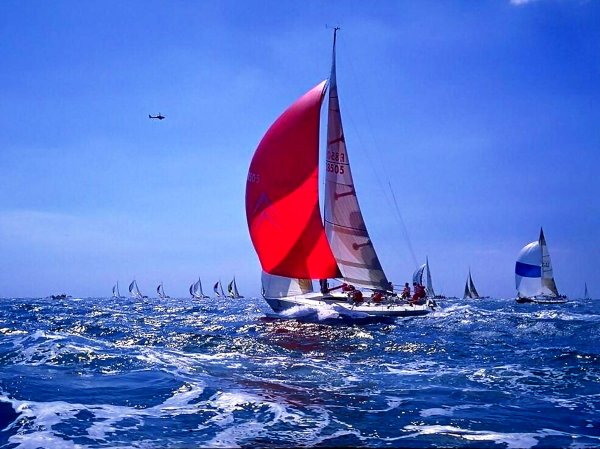 EVERFOCUS Ace-h220ma