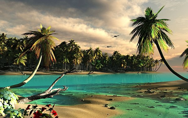 Пляж с пальмами