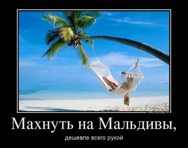 Смешные лужи