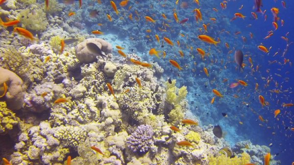 Египет Hurghada