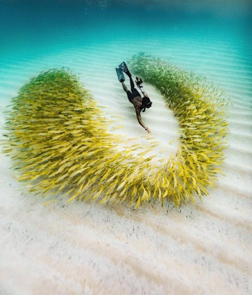 Улыбок и хорошего настроения