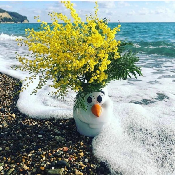 Открытки с позитивом