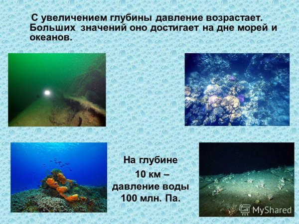 Давление на дне морей и океан