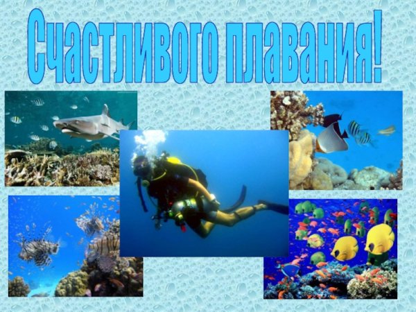 Давление на дне морей и океанов исследование морских глубин