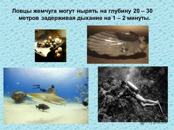 Давление на дне морей и океанов исследование морских глубин