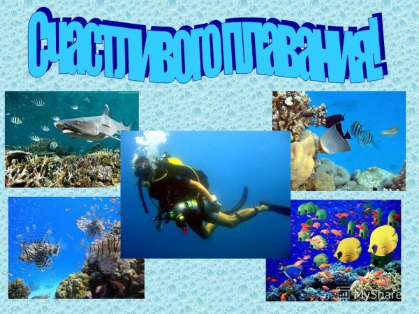 Исследование морских глубин сообщение по физике