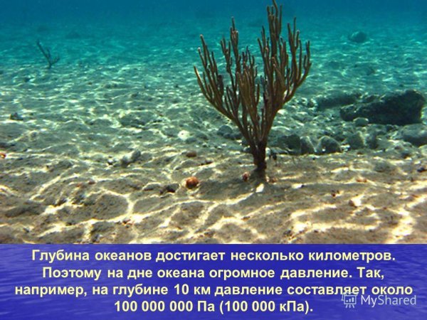 Давление на глубинах морей и океанов