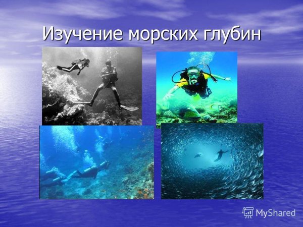 Изучение подводного мира