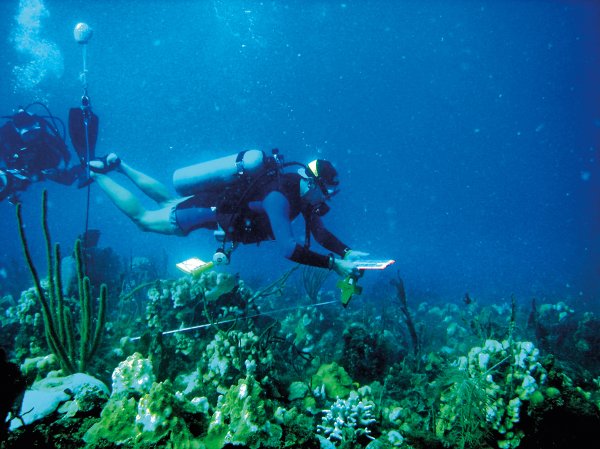 Давление на дне морей и океанов
