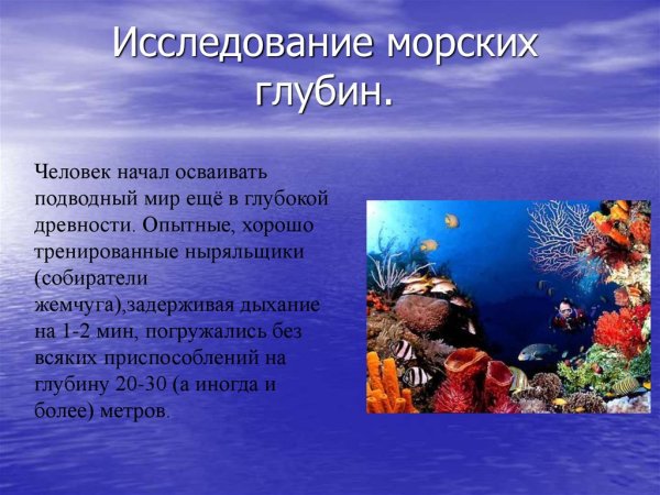 Канны дайвинг