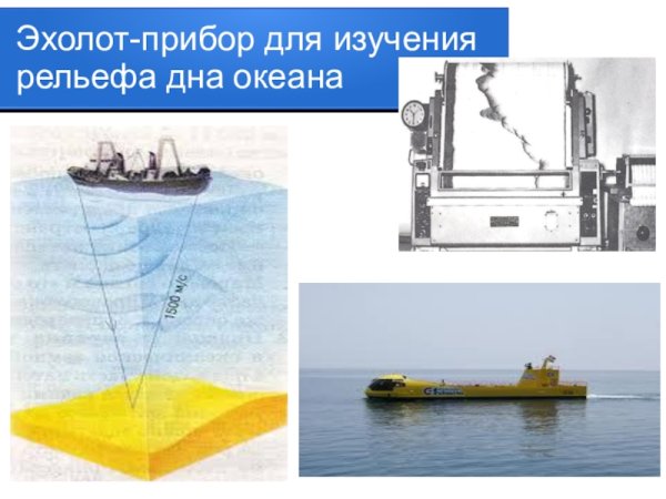 Тема презентация морской мир