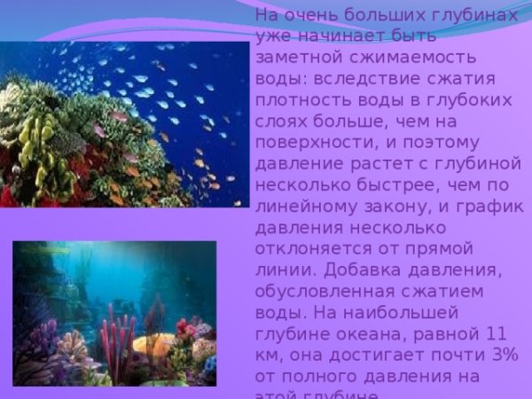 Проект подводный мир