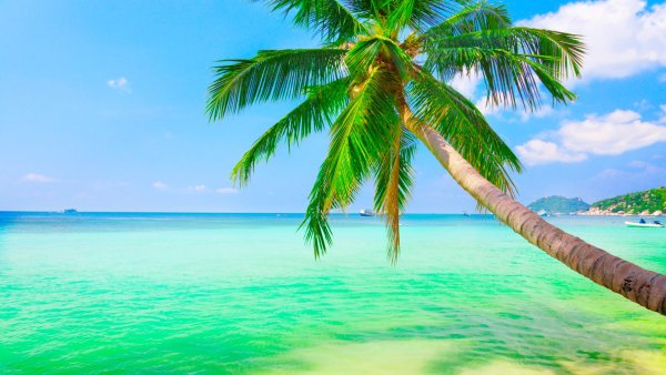 Тропический пляж фон