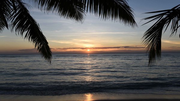 Пляжный пейзаж