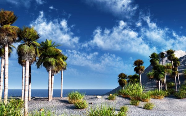 Море пляж пальмы