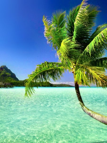 Голубая Лагуна Саона Доминикана