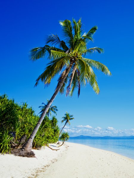 Палм Бич Калифорния