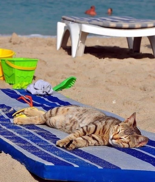 Уот на пляже