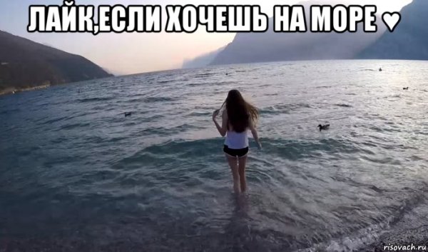 Хочу на море мемы
