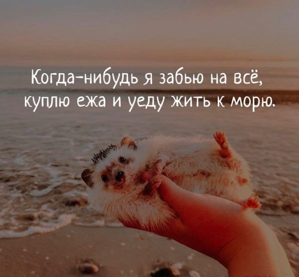 Шутки про отдых