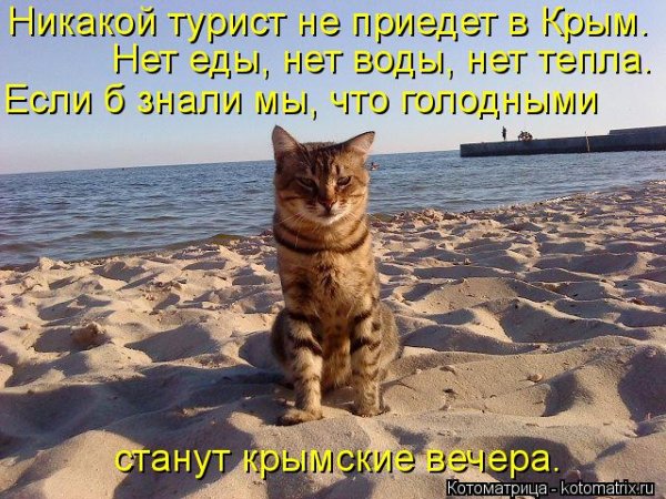 Приколы про море