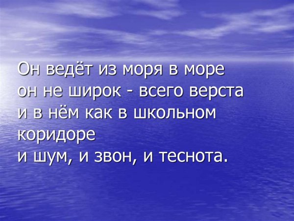 Смешная Нерпа