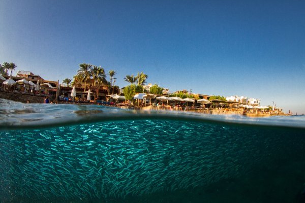 Красное море Дахаб