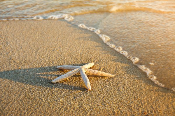 Египет надпись на песке