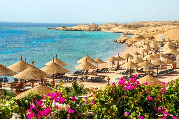 Шармаль Шейх