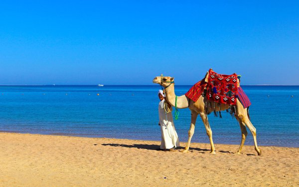 Sunrise Grand select Montemare Resort 5*