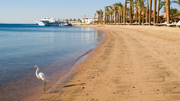 Египет Шарм-Эль-Шейх пляжи